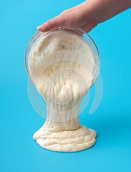 Organic sourdough starter on a blue table. Home baking with sourdough