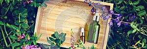 Organic Spa Cosmetic With Herbal Ingredients Serum in bottle on plant background