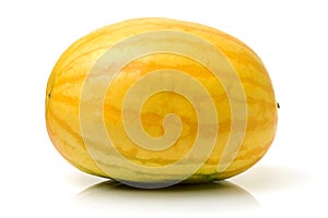 Organic spaghetti squash Cucurbita pepo vegetable