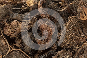 Organic Spikenard (Nardostachys jatamansi) roots.