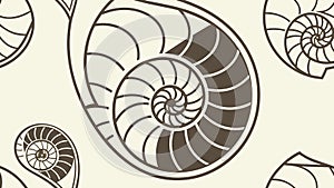 Organic Spiral Shell Pattern: Nature's Fibonacci Design Vector Design Generative AI