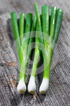 Organic spring onions