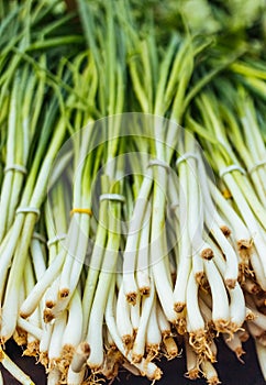 Organic spring onions