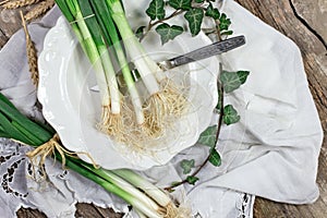 Organic spring onions on plate