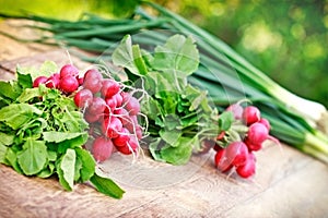 Organic spring radishes