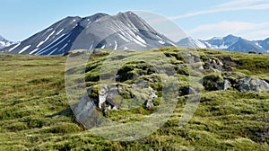 Organic Stone Carvings: Grassy Grass On Top Of Arctic Tundra Mountain