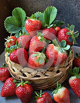 Organic strawberries in all their hues and shapes.