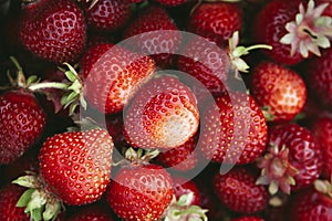 Organic strawberries full frame background