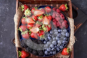 Organic strawberries, raspberries, blueberries, blackberries on a separate dish close-up on a solid concrete background.