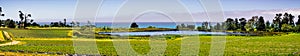 Organic strawberry field on the Pacific Ocean coast, near Santa Cruz, California