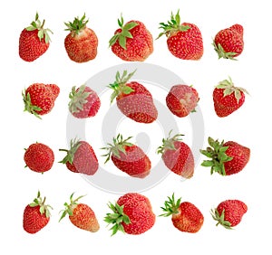 Organic Strawberry Isolated on White Background Close Up