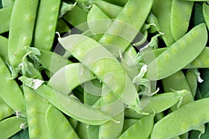 Organic Sugar pea pods