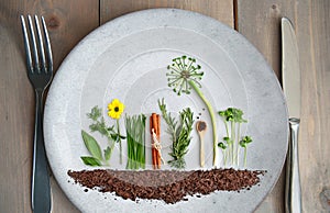 Organic summer herb salad garden concept