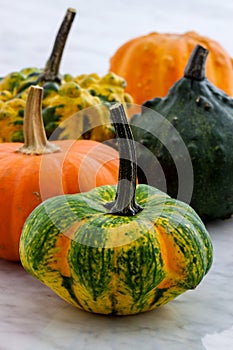 Organic summer squash