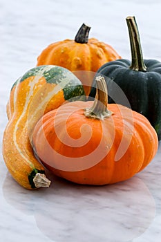 Organic summer squash