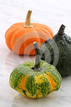 Organic summer squash