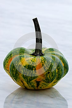 Organic summer squash