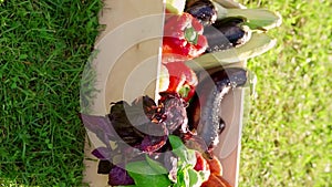 organic summer vegetables in a wooden box on green grass ready delivery