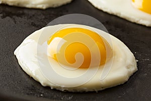 Organic Sunnyside up Egg