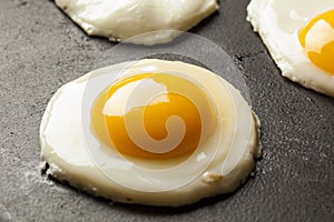 Organic Sunnyside up Egg