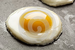 Organic Sunnyside up Egg