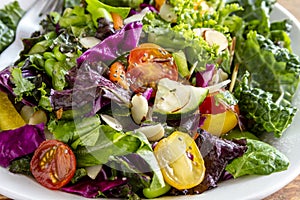 Organic Super Food Vegetarian Salad