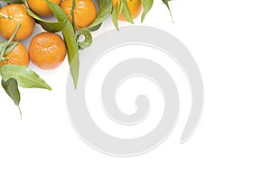 Organic Tangerines clementine with green leaves isolated on a white background