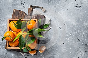 Organic Tangerines, mandarins with green leaves in wooden box. Gray background. Top view. Copy space