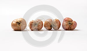 Organic Thai shallots isolated on a white background.