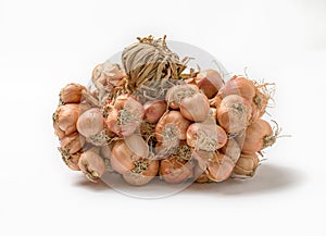 Organic Thai shallots isolated on a white background.