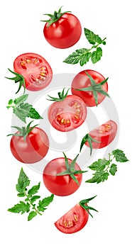 Organic tomato isolated on white background