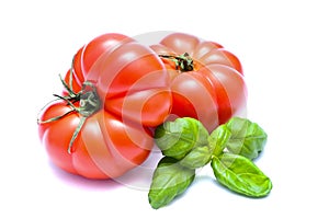 Organic tomatoes