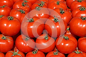 Organic tomatoes