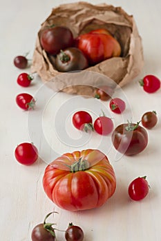 Organic tomatoes harvest