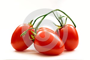 Organic tomatoes from Mexico photo