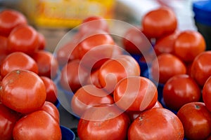 Organic tomatoes for sale