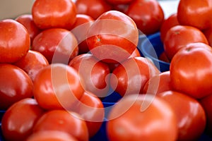 Organic tomatoes for sale