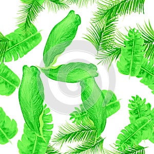 Organic Tropical Leaf. Green Seamless Leaves. White Pattern Leaves. Natural Drawing Foliage. Banana Leaf. Spring Art. Watercolor