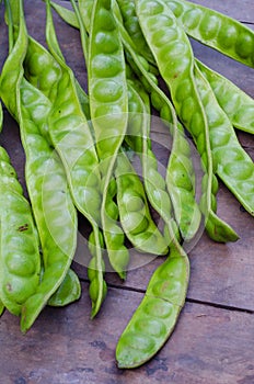 Organic Twisted Cluster Bean or Parkia Speciosa from The Natural Garden.
