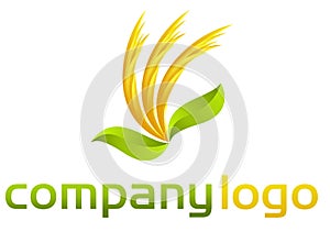 Organic vector logo - leafs and flames