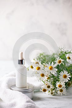 Organic vegan natural cosmetics concept. Chamomile flowers and cosmetic bottles of cream and serum essential on white background.