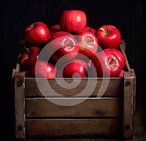 Organic-vegan red apples in the basket