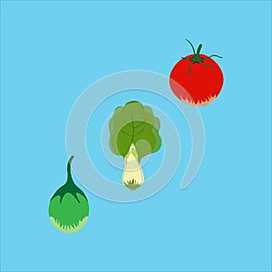 Organic vegetable on blue background