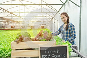 Organic vegetable farm, business farmer, healthy food concept,fresh from Farm text hand drawn on blackboard in organic hydroponic