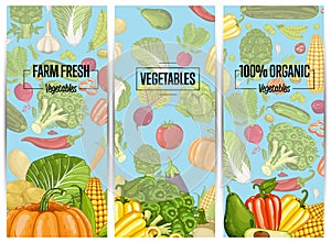 Organic vegetable farming flyers set photo