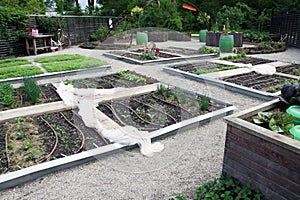 Organic vegetable garden with borders and high beds