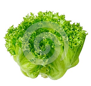 Organic Vegetable for salad green frillice iceberg lettuce isolated on white background