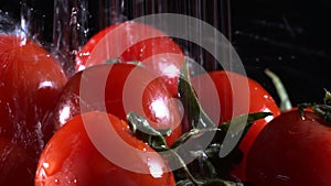 Organic vegetable tomato and water flows