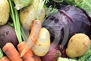 Organic vegetables photo