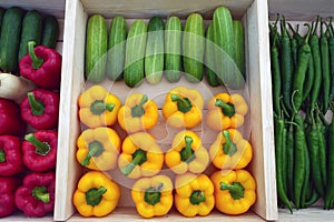 The Organic Vegetables in Agricultural greenhouse farm.